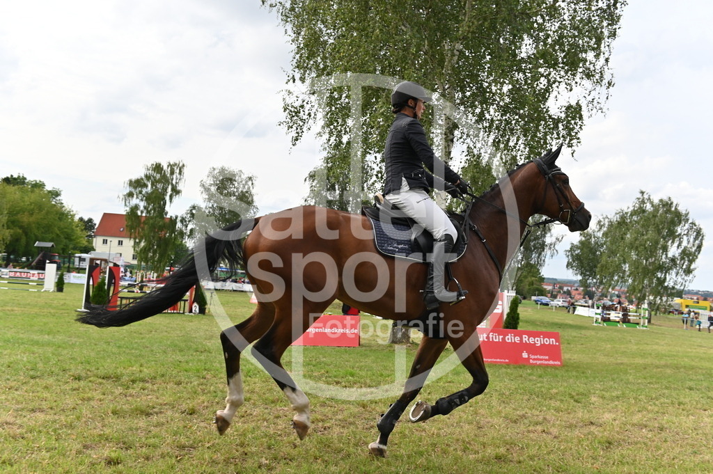 DSC_3839 | sattelsport - Realisiert mit Pictrs.com