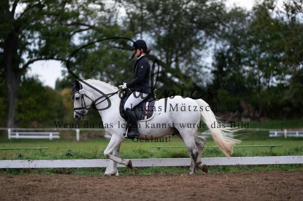 A7V06040 | Pferdefotograf