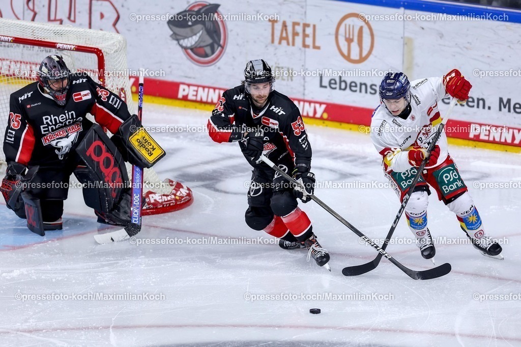 KEC16022501068 | 16.02.2025, Eishockey, DEL, Kölner Haie - Düsseldorfer EG, Lanxess-Arena Köln: Alexander Ehl (DEG #28) im Zweikampf gegen Adam Almquist (Kölner Haie #53)