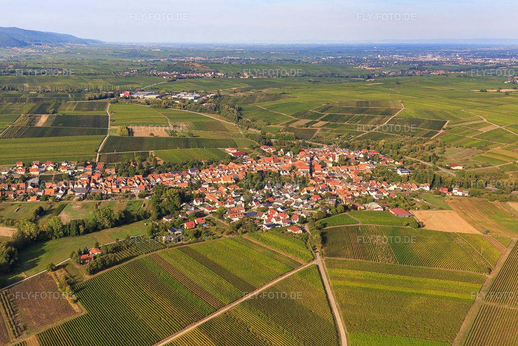 Luftbild: Dorfansicht zwischen Weinbergen aus Südwesten in Göcklingen im Bundesland Rheinland-Pfalz in Deutschland. Foto: IMG_111740.jpg vom 16.09.2018 durch Werner Riehm/FLY-FOTO.de