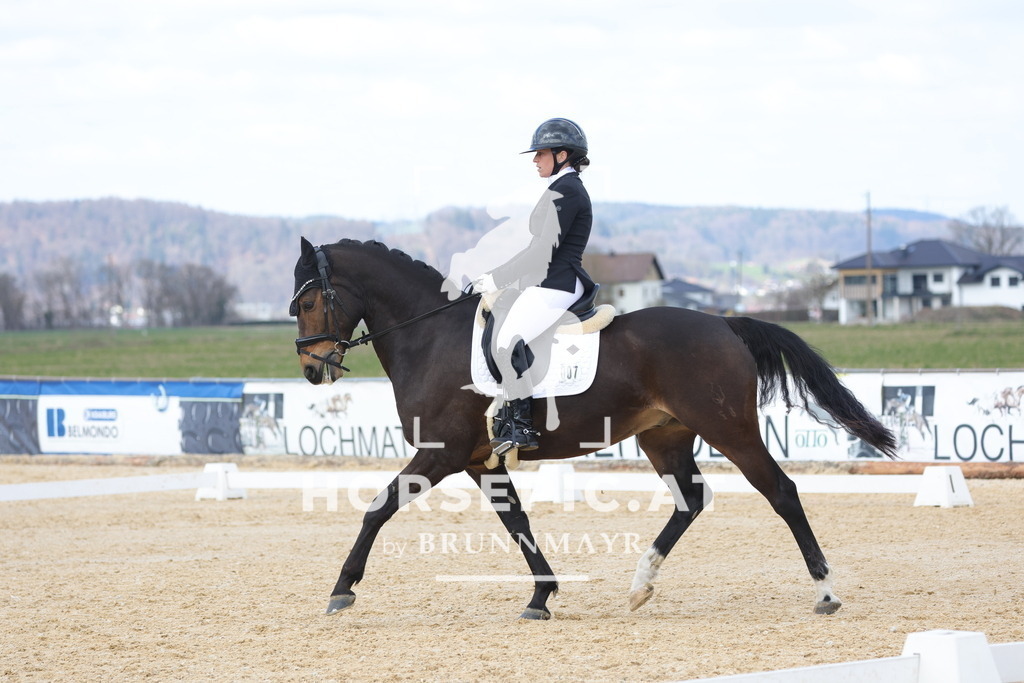 0P6A7427 | Willkommen bei Brunnmayr - Design & Fotografie – Ihrem Spezialisten für Reitturniere und Pferdeveranstaltungen in Oberösterreich, Salzburg und Bayern! Seit über 17 Jahren sind wir leidenschaftlich dabei.