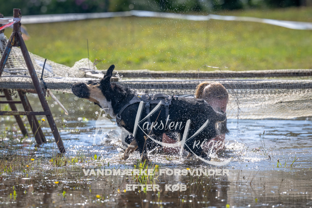 1300_ZZ90285 | kk-dogfotos