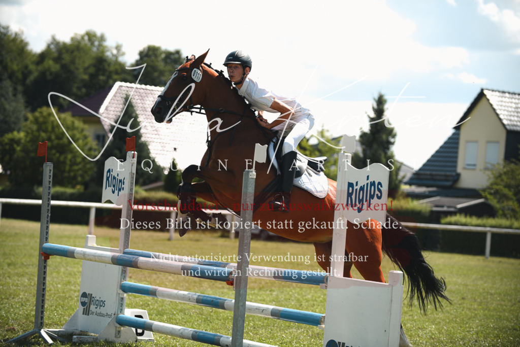DSC_6581 | Pferde- und Turnierfotografie in Westsachsen. Pferdeportraits, Auftragszeichnungen und intuitive Kunst.