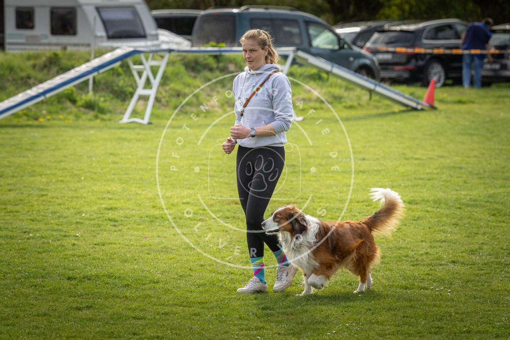Pfotenfotografie_DV3A4958 | Hundefotografie, Tierfotograf, Pfotenfotografie, Fotoshooting Hund, Hunde Portrait, Hundesport, Hundeportraits, Heideshooting, Hunde, Sportfotograf, Hundefotograf, Turnierhundsport, THS,  - Realisiert mit Pictrs.com