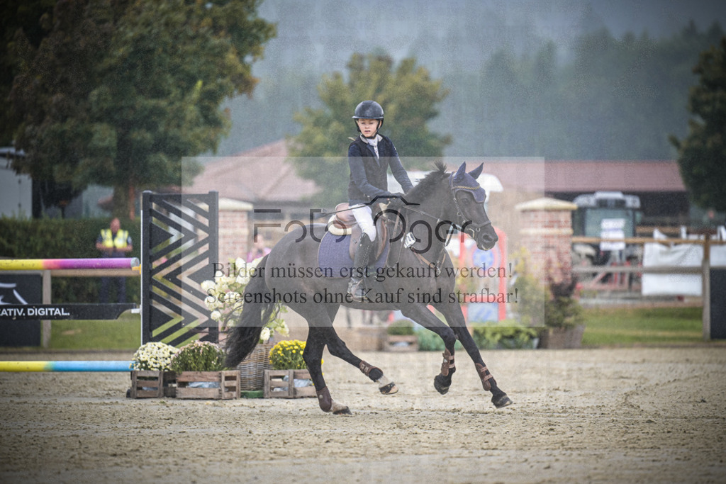 DOS_0126 | Entdecke hochwertige Reitturnierfotos von Foto Oger. Professionell, emotional und authentisch – jetzt Lieblingsmomente im Shop bestellen.Deutschlandweite Turnierfotografie. - Realisiert mit Pictrs.com