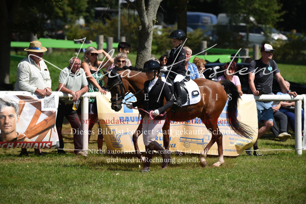 DSC_9783 | Pferde- und Turnierfotografie in Westsachsen. Pferdeportraits, Auftragszeichnungen und intuitive Kunst.