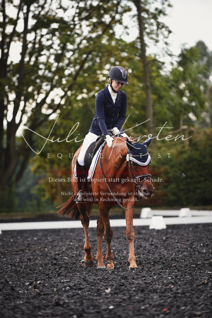DSC_3810 | Pferde- und Turnierfotografie in Westsachsen. Pferdeportraits, Auftragszeichnungen und intuitive Kunst.