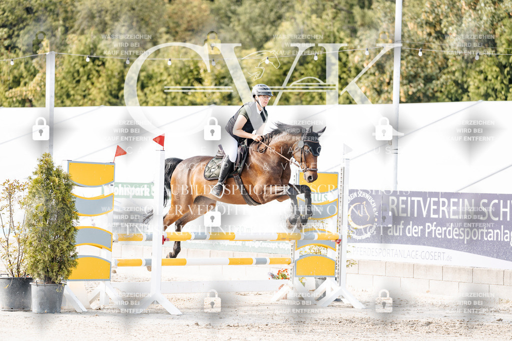 CK906257 | Turnierfotografie Pferdefotografie Trier Rheinland-Pfalz Pferdesport Reitsport Tierfotografie Sportfotografie Pferdevideo Pferdevideografie Equestrianvideography equestrianphotography  - Realisiert mit Pictrs.com