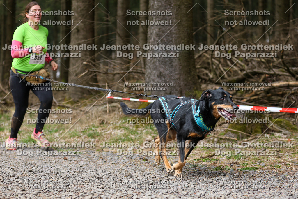 Dog Paparazzi - VCC26-482 | Dog Paparazzi Jeanette Grottendiek Fotografie & Videografie - Realisiert mit Pictrs.com