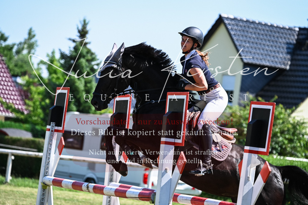 DSC_1055 | Pferde- und Turnierfotografie in Westsachsen. Pferdeportraits, Auftragszeichnungen und intuitive Kunst.