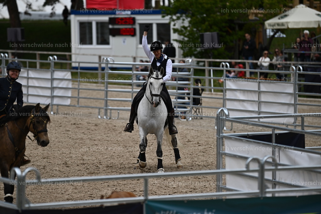 PI26_COW_Sara Landvogt226_7618.JPG | working equitationturnier fotograf videograf stoibphotography marixx film working equitation deutschland reitsport turnierfotografie eventfotografie equestrian events