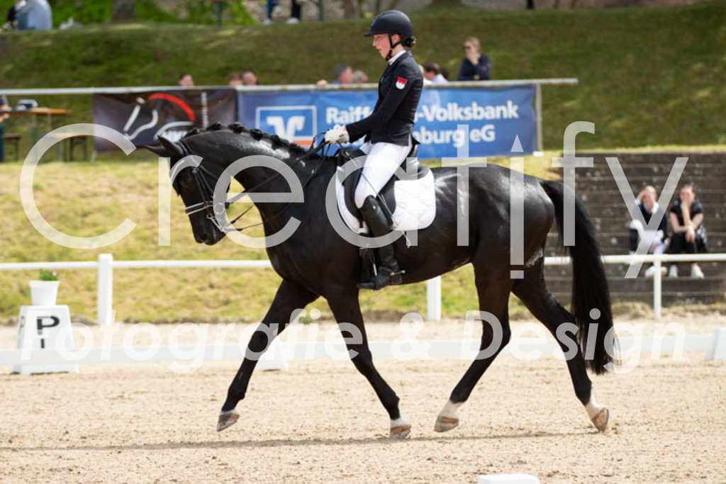 IMG_6654 | Creatify Fotografie