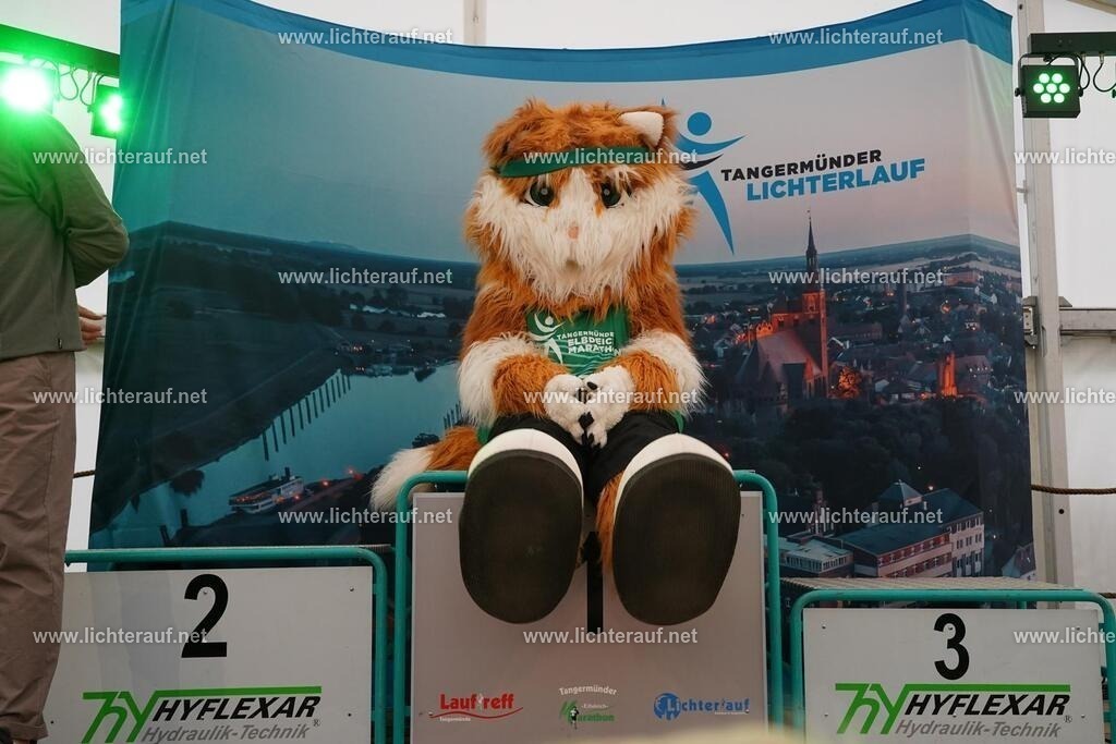 DSC05143 | Lichterlauf  - Realisiert mit Pictrs.com