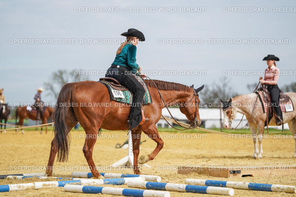 DSC03621 | Pferdegrafie