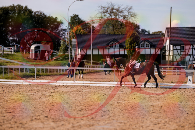 2026_10_03_Siefer-Hof_130850_Z81_61948335 | Professionelle Reitsport-, Turnier- und Eventfotografie von Robert Broda. Galerien mit ausgewählten und bearbeiteten Bildern direkt online ansehen und bestellen.