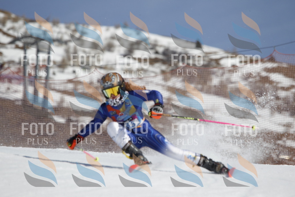 _U3G0050 | holidayphoto