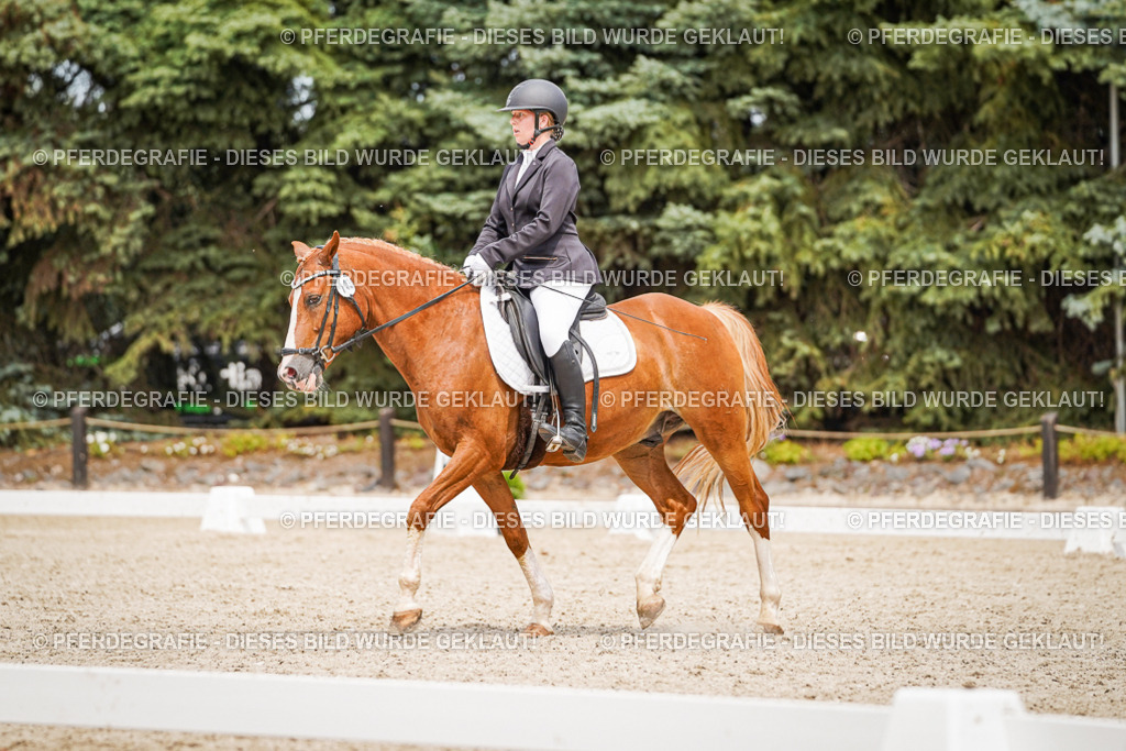 DSC04303 | Pferdegrafie