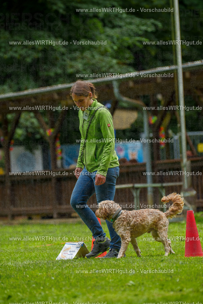 @allesWIRTHgut_Tierfotografie - www.allesWIRTHgut.de - 092324-7R507026 | Professionelle Tierfotografie in Mönchengladbach von Daniel Wirth (allesWIRTHgut). Liebevolle & natürliche Bilder von Hunden & Katzen für unvergessliche Erinnerungen.