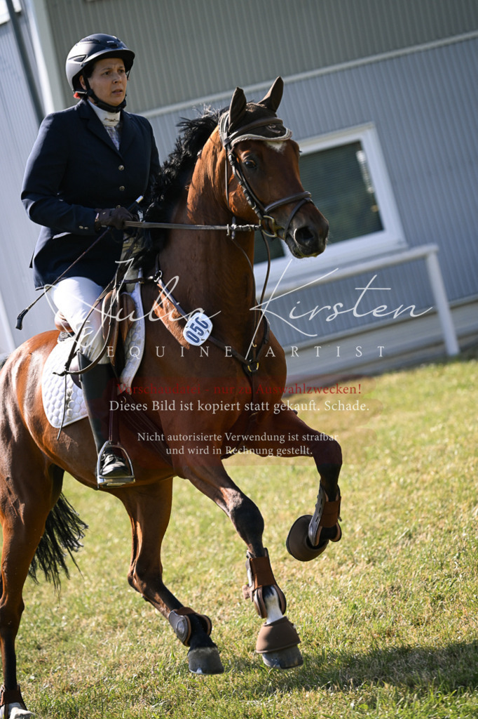DSC_1265 | Pferde- und Turnierfotografie in Westsachsen. Pferdeportraits, Auftragszeichnungen und intuitive Kunst.