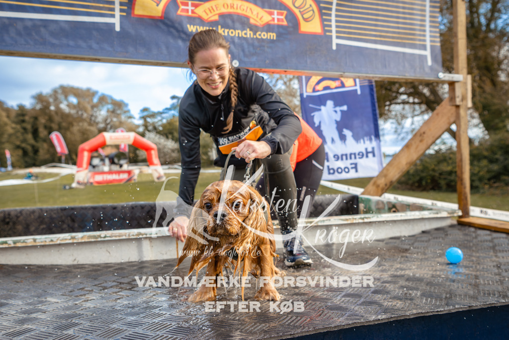 1527_ZZ96795 | kk-dogfotos