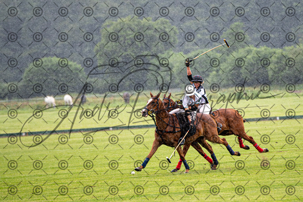 POL_2611 | andre_photographic