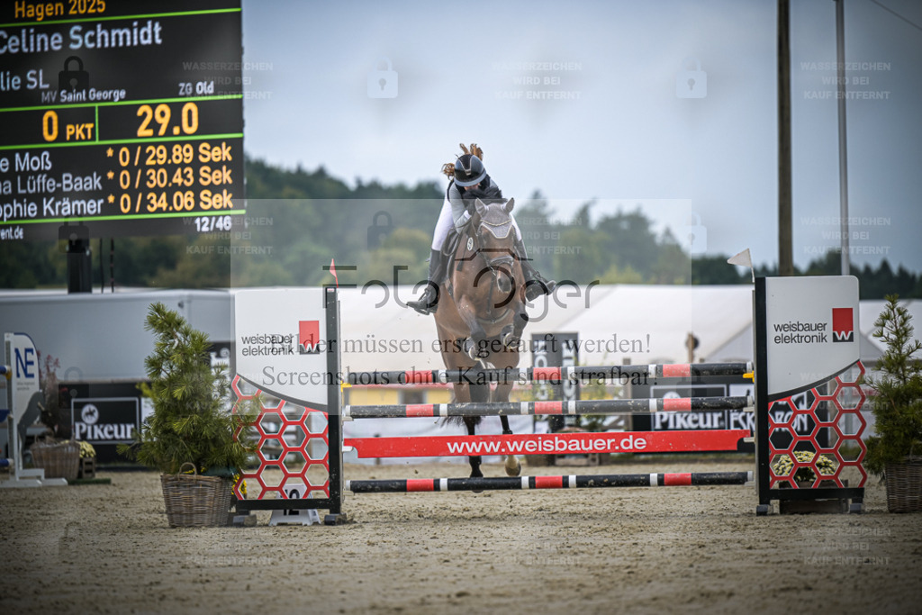 DOS_0886 | Entdecke hochwertige Reitturnierfotos von Foto Oger. Professionell, emotional und authentisch – jetzt Lieblingsmomente im Shop bestellen. - Realisiert mit Pictrs.com