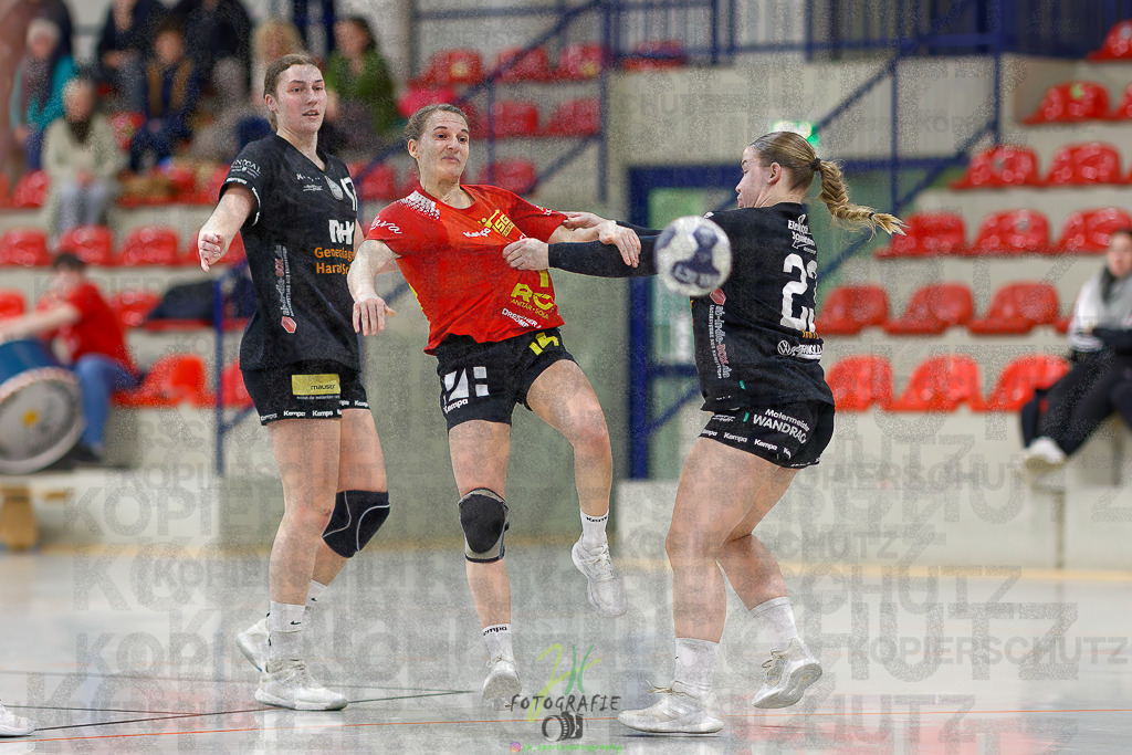 Frauen Regionalliga (HHV); HSG Wettenberg - HSG Twistetal | Frauen Regionalliga (HHV); HSG Wettenberg - HSG Twistetal am 08.11.2025 in Launsbach (Wettenberg) (Halle GS Launsbach (Wettenberg))Photo © 2025 - Jörg Heinrich - Realisiert mit Pictrs.com