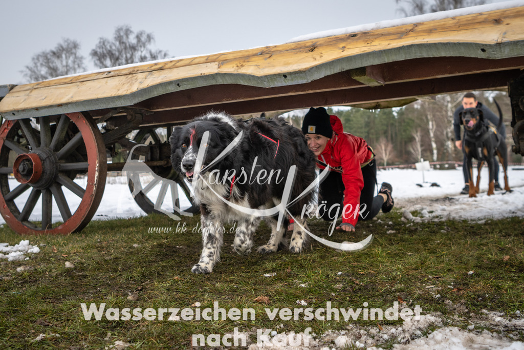 0939_ZZ91164 | kk-dogfotos