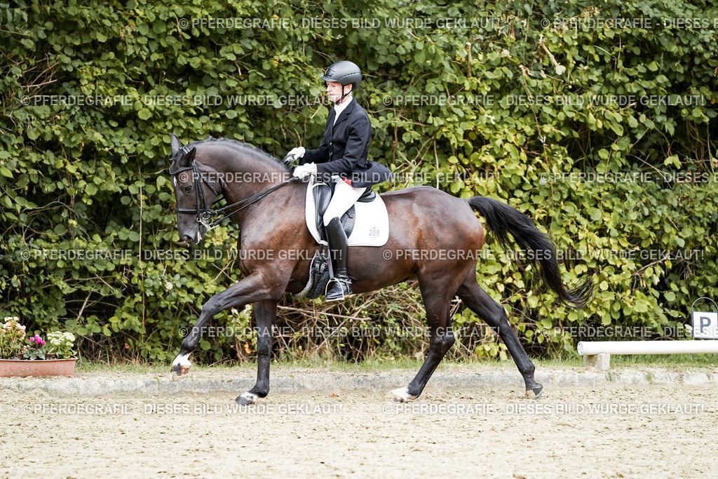 DSC05892 | Pferdegrafie