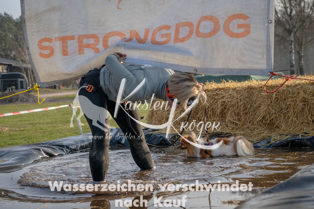 _ZZ90285 | kk-dogfotos