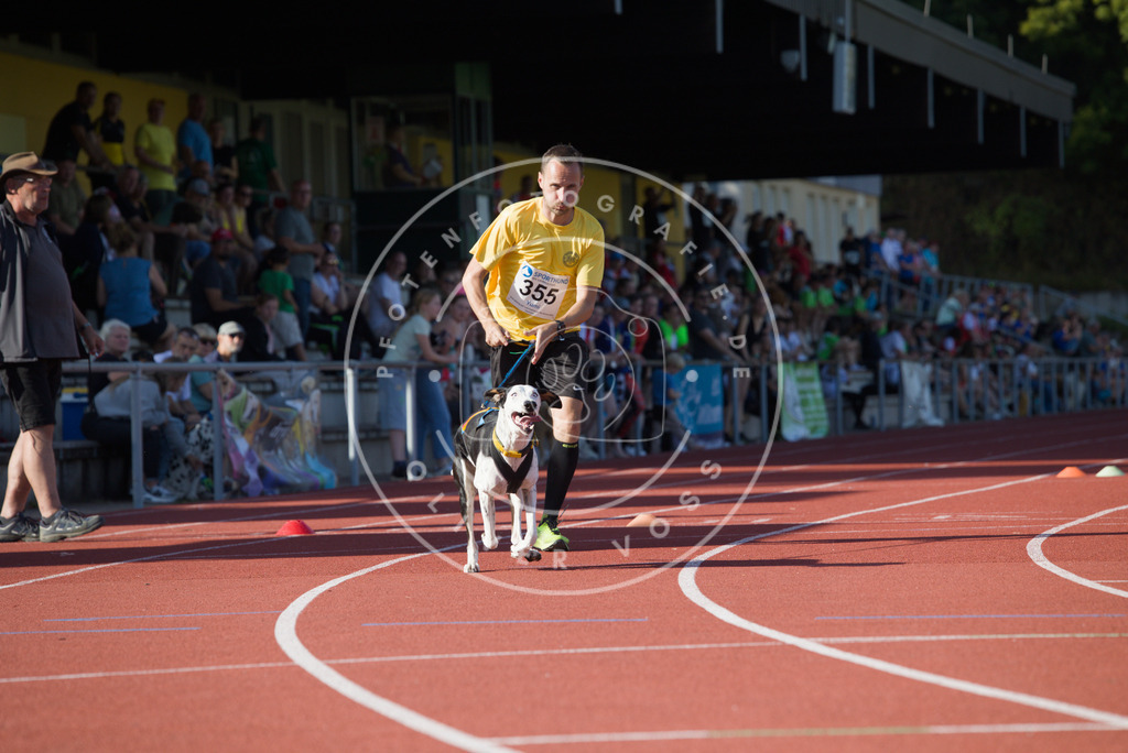 0L8A0082 | Hundefotografie, Tierfotograf, Pfotenfotografie, Fotoshooting Hund, Hunde Portrait, Hundesport, Hundeportraits, Heideshooting, Hunde, Sportfotograf, Hundefotograf, Turnierhundsport, THS,  - Realisiert mit Pictrs.com