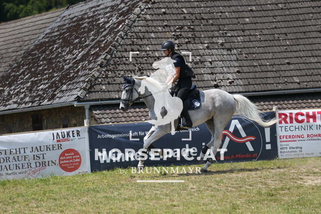 DL2Q2280 | Willkommen bei Brunnmayr - Design & Fotografie – Ihrem Spezialisten für Reitturniere und Pferdeveranstaltungen in Oberösterreich, Salzburg und Bayern! Seit über 17 Jahren sind wir leidenschaftlich dabei.