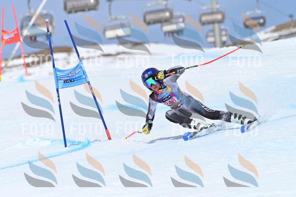 BGV_1841 | holidayphoto