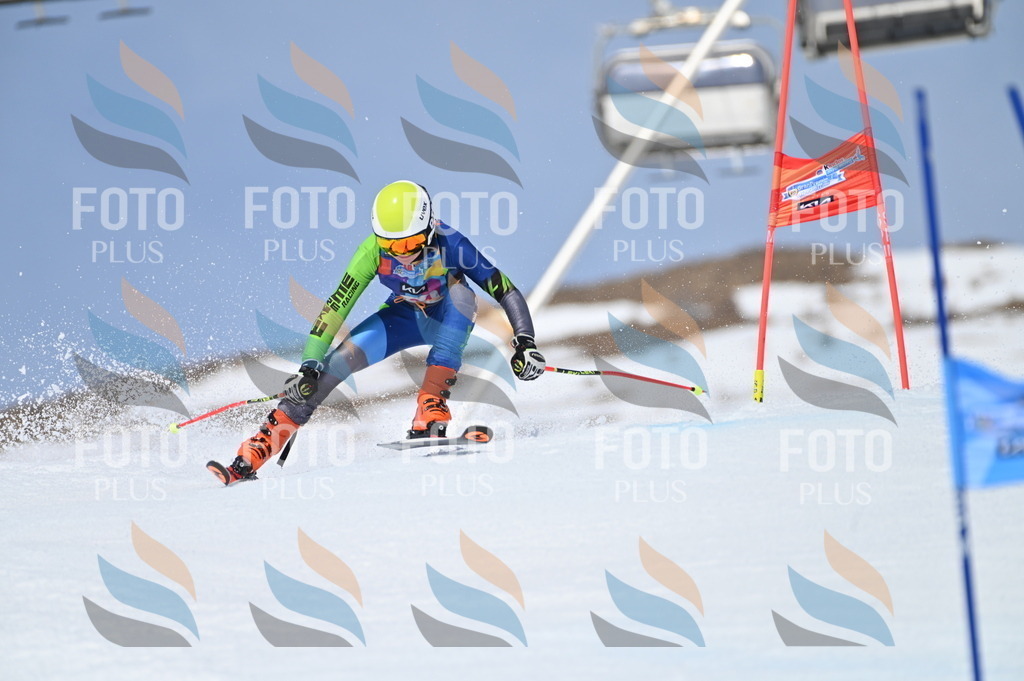 BGV_3905 | holidayphoto