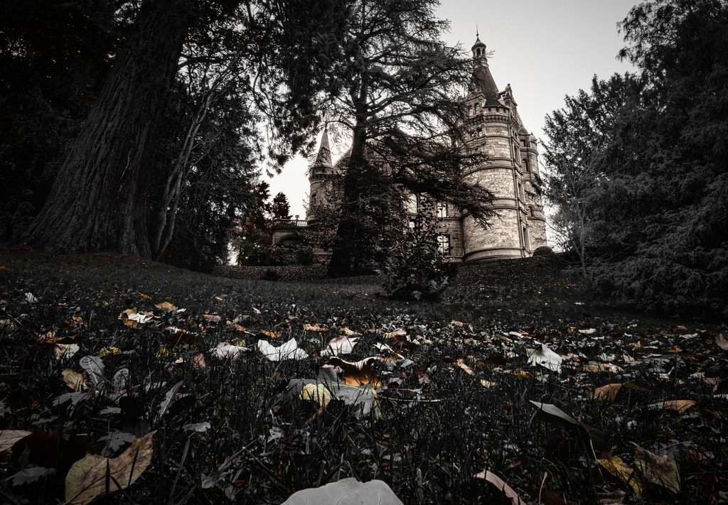 Schloss Hünegg | Schloss Hünegg im Herbst.
Nachbearbeitung mit Selektivfarben und Sepia.
------------------------------------------------------------
Hünegg Castle in autumn.
Post-processing with selective colors and sepia.
------------------------------------------------------------
Dieser Druck ist in einer limitierten Auflage von 5 Exemplaren erhältlich. 
This print is available in a limited edition of 5 copies. 
http://art.hess.photography/85-schloss-huenegg.html - Realisiert mit Pictrs.com