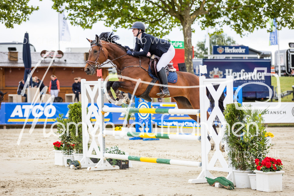 BHO-2PhSpr-M-5-2109 | MomenTaufnahmen Pferdesportfotos