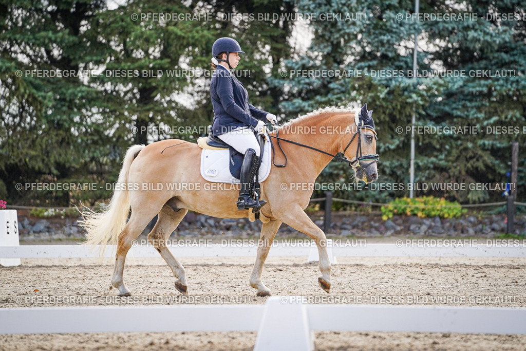 DSC00640 | Pferdegrafie