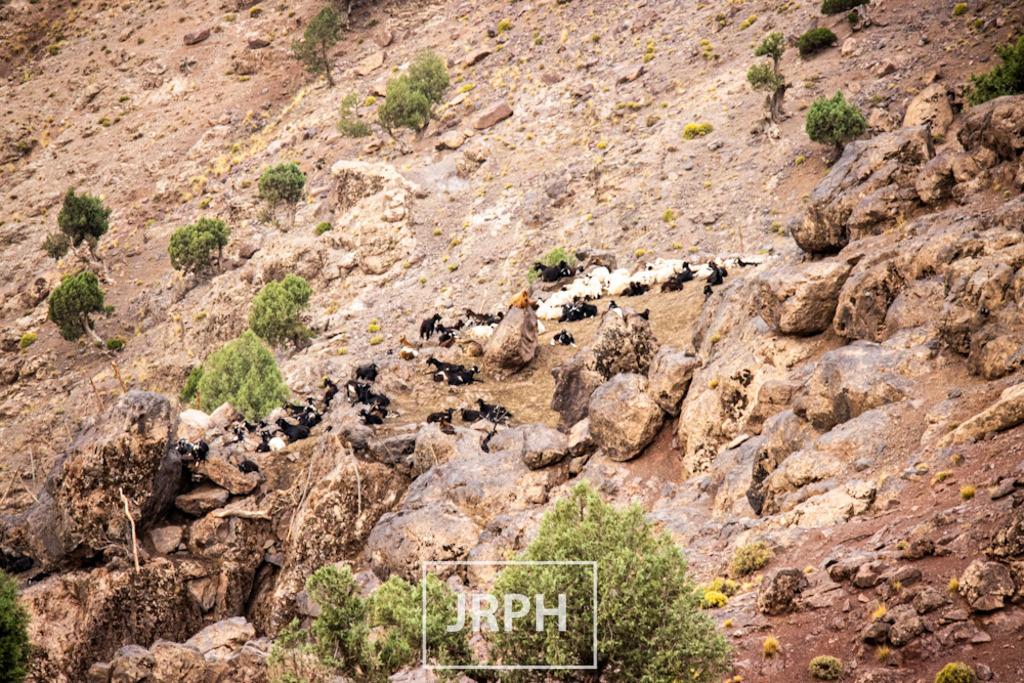 IMG_8168 | jrph - Realisiert mit Pictrs.com