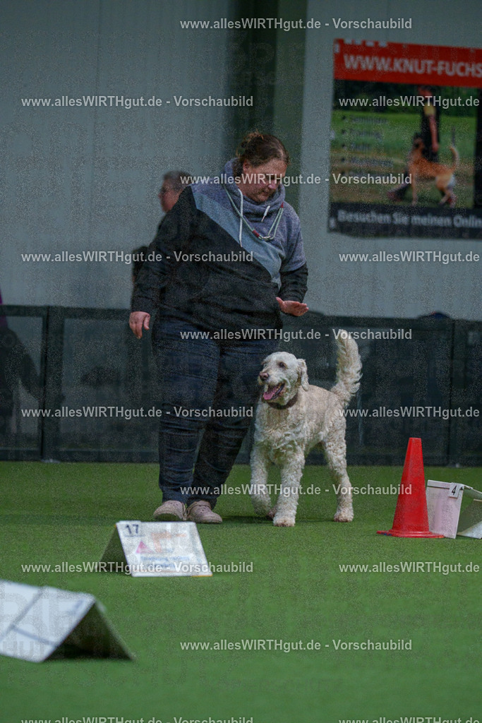 7R502788 | Professionelle Tierfotografie in Mönchengladbach von Daniel Wirth (allesWIRTHgut). Liebevolle & natürliche Bilder von Hunden & Katzen für unvergessliche Erinnerungen.