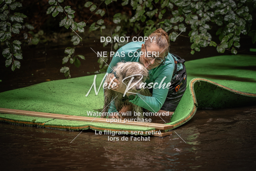 nelerasche_Wingst_Sa1330-1400_176 | nelerasche