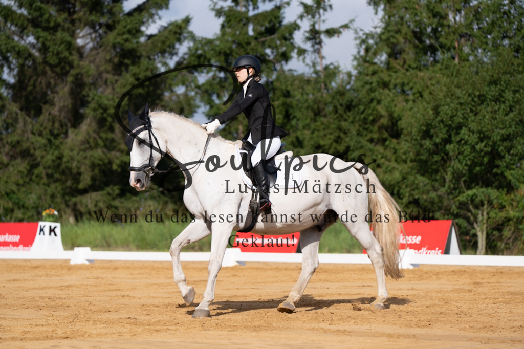 A7V05142 | Pferdefotograf