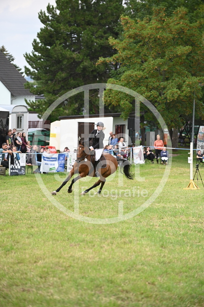 DSC_1600 | sattelsport - Realisiert mit Pictrs.com