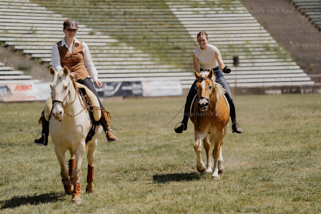 _DSC6984 | working equitationturnier fotograf videograf stoibphotography marixx film working equitation deutschland reitsport turnierfotografie eventfotografie equestrian events