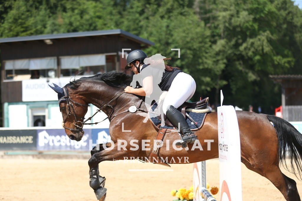 PP013828 | Willkommen bei Brunnmayr - Design & Fotografie – Ihrem Spezialisten für Reitturniere und Pferdeveranstaltungen in Oberösterreich, Salzburg und Bayern! Seit über 17 Jahren sind wir leidenschaftlich dabei.