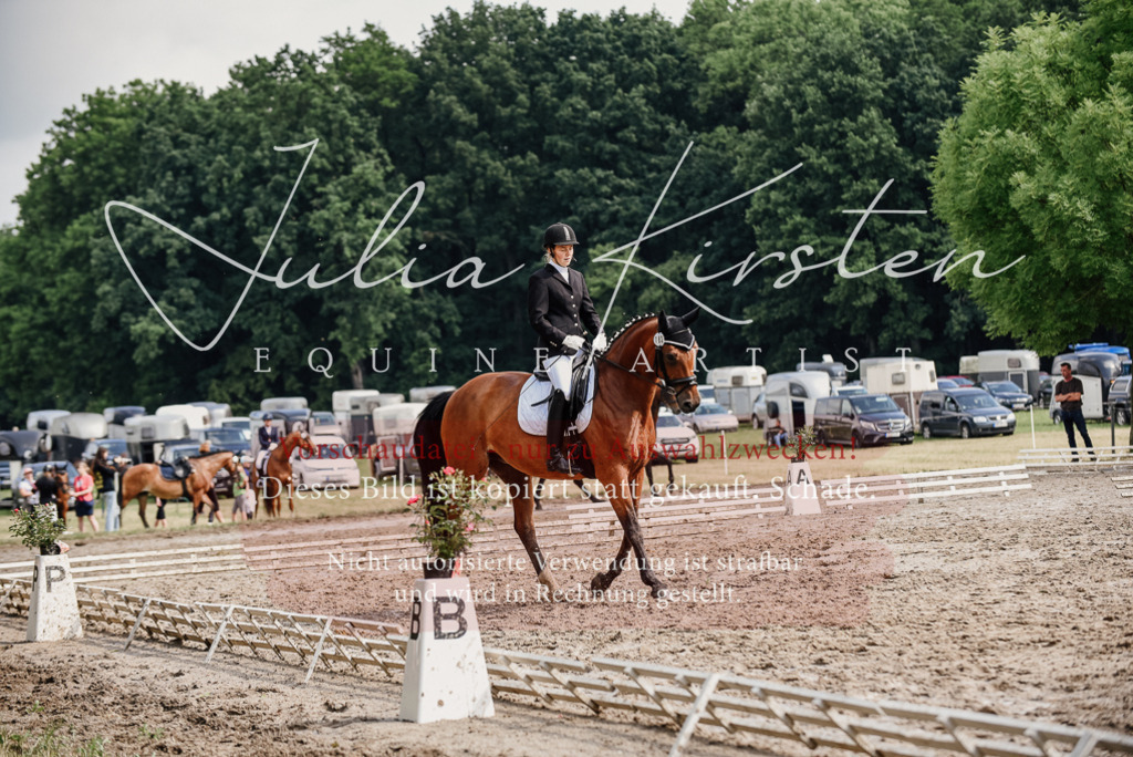 DSC_9769 | Pferde- und Turnierfotografie in Westsachsen. Pferdeportraits, Auftragszeichnungen und intuitive Kunst.