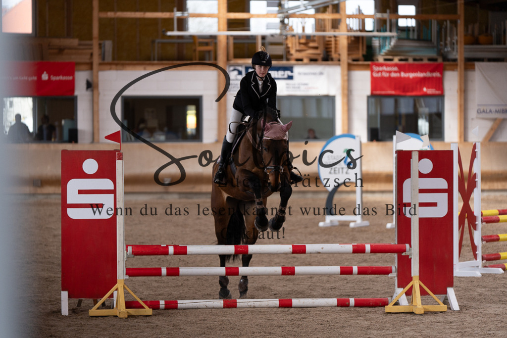 A7507565 | Pferdefotograf