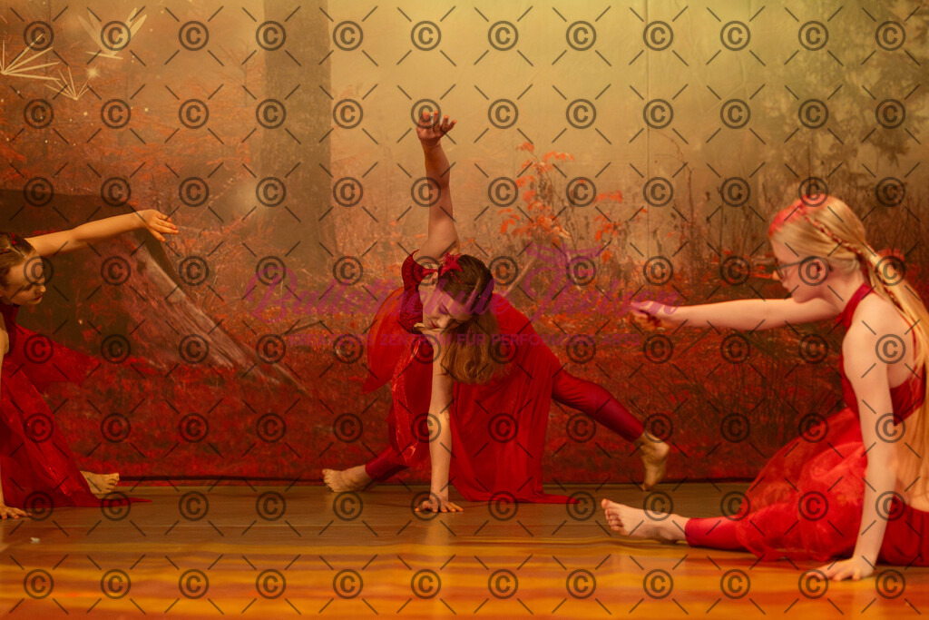 Ballettaufführung-1354 | Bildershop Lem'n Entertainment - Realisiert mit Pictrs.com
