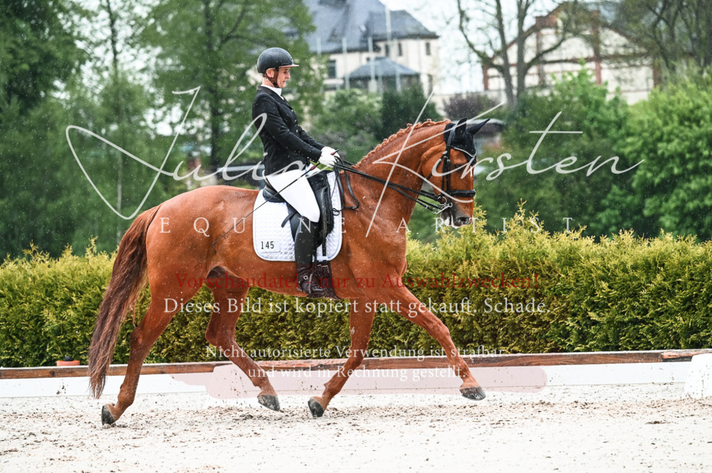 DSC_4429 | Pferde- und Turnierfotografie in Westsachsen. Pferdeportraits, Auftragszeichnungen und intuitive Kunst.