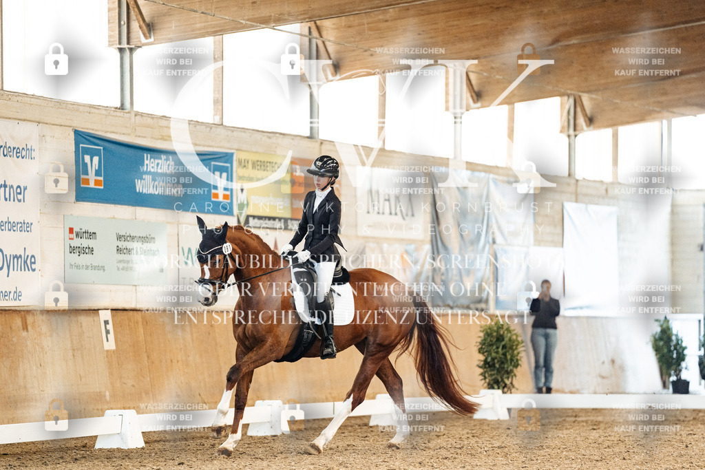 CK909049 | Turnierfotografie Pferdefotografie Trier Rheinland-Pfalz Pferdesport Reitsport Tierfotografie Sportfotografie Pferdevideo Pferdevideografie Equestrianvideography equestrianphotography  - Realisiert mit Pictrs.com