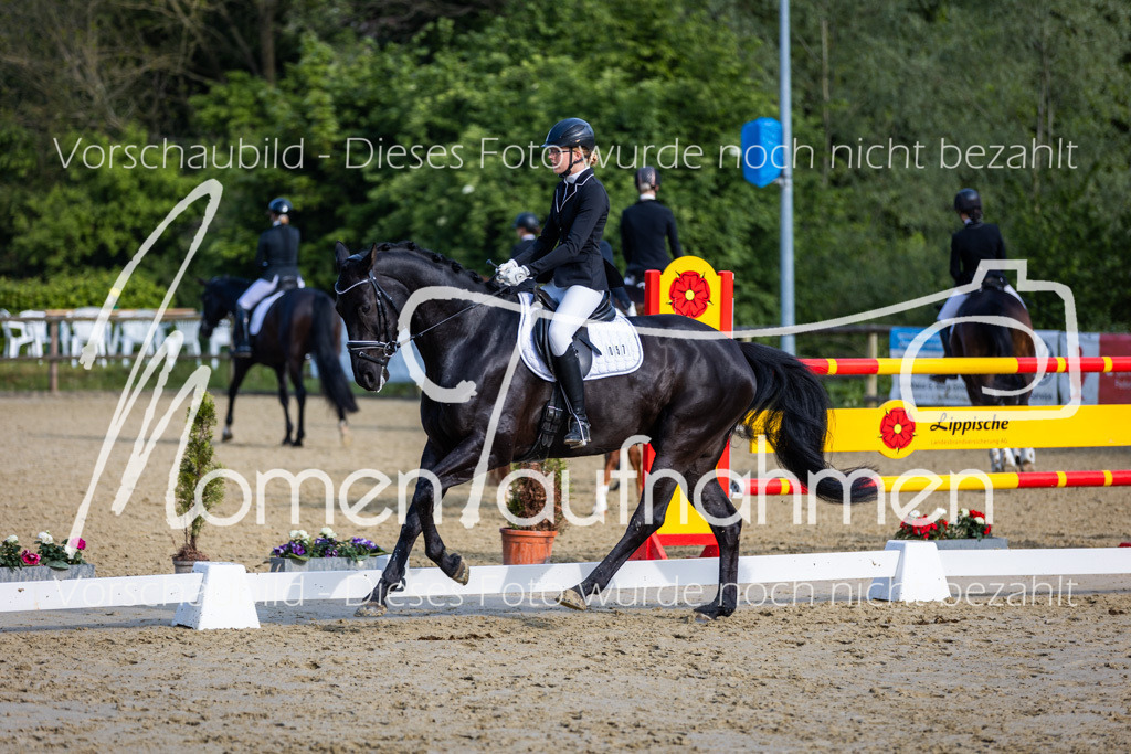 Donop24-A-Dre-063 | MomenTaufnahmen Pferdesportfotos